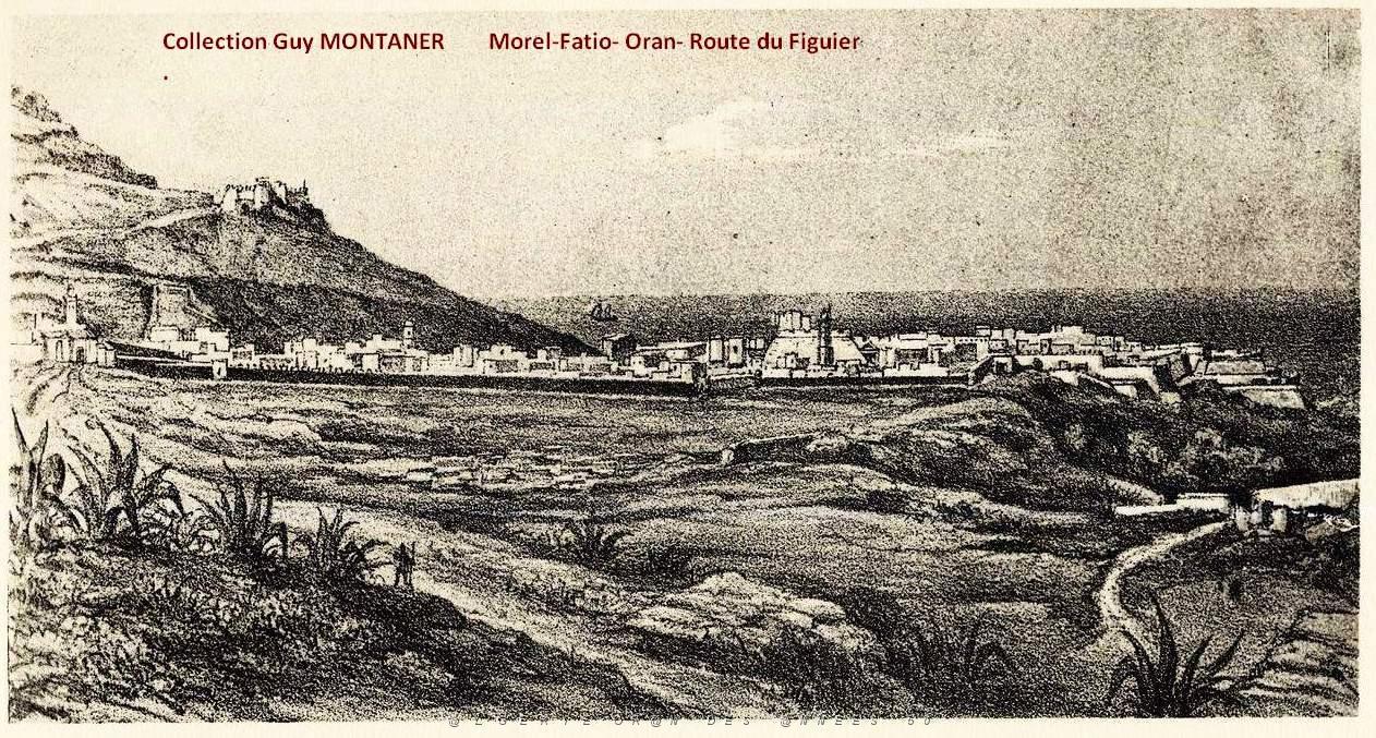 Iconographie 342.jpg